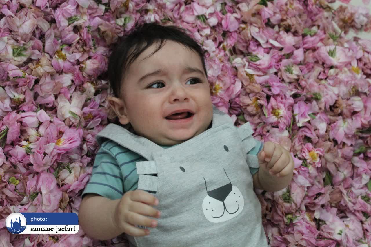 گلابگیری حکیم گلابگیری حکیم