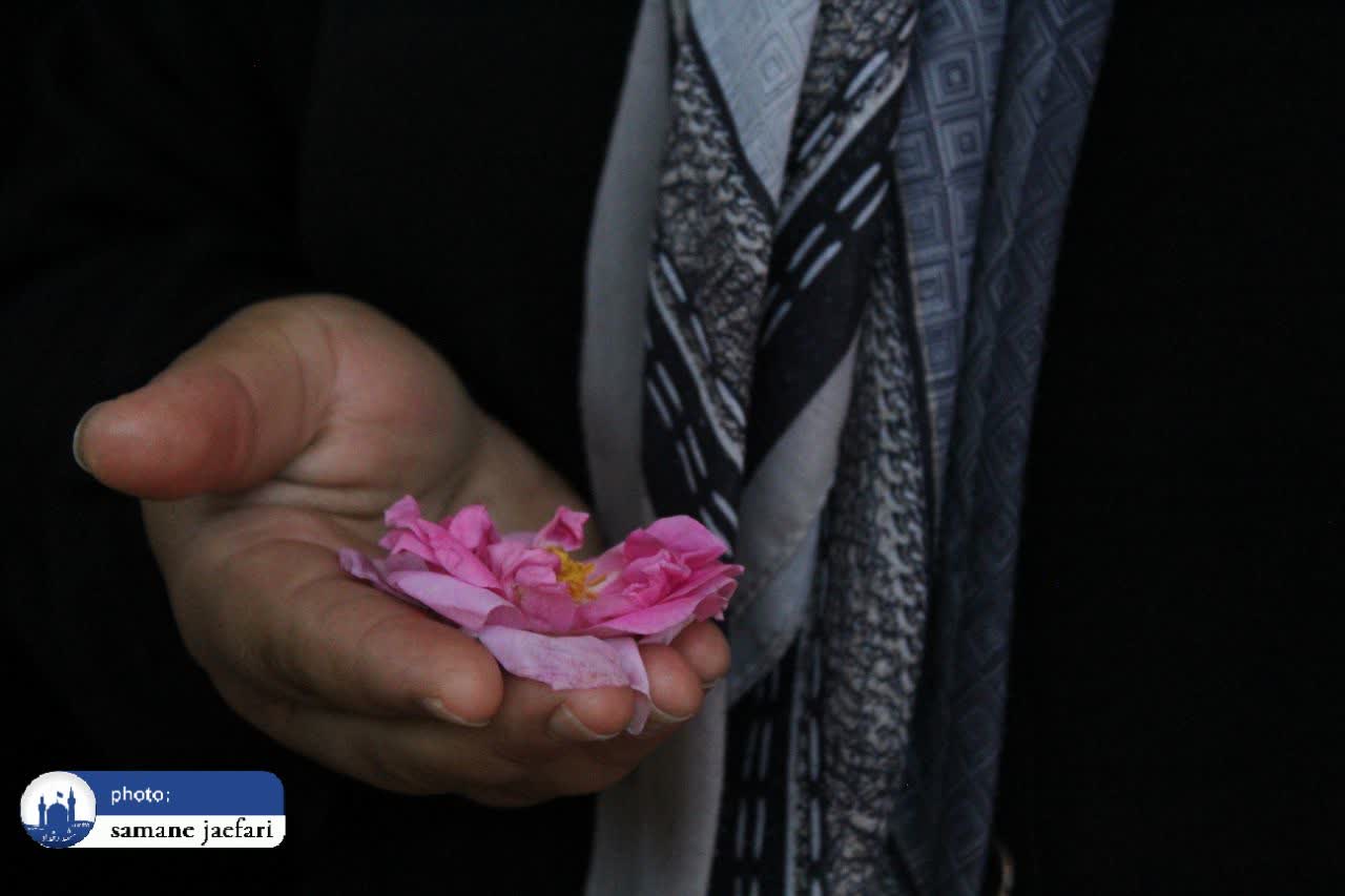 گلابگیری حکیم گلابگیری حکیم